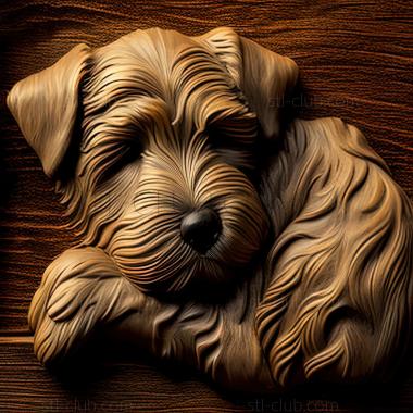 3D model st Glen of Imaal Terrier dog (STL)